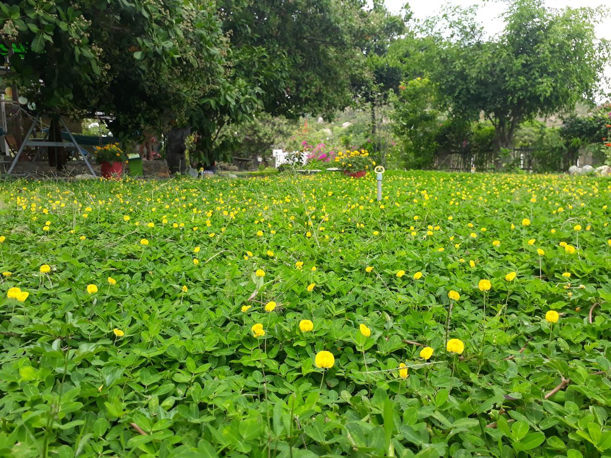 Dao Hoa Vang Villa Cam Ranh Eksteriør bilde