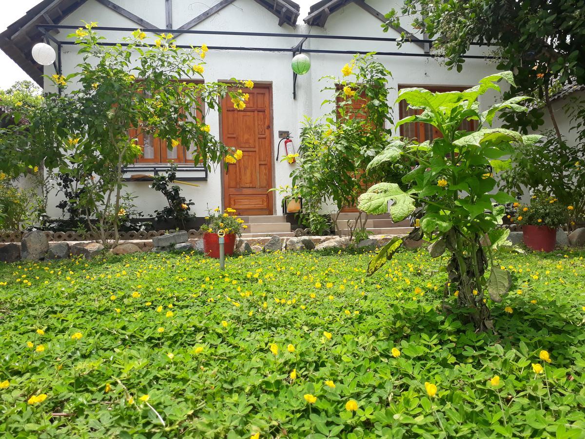 Dao Hoa Vang Villa Cam Ranh Eksteriør bilde