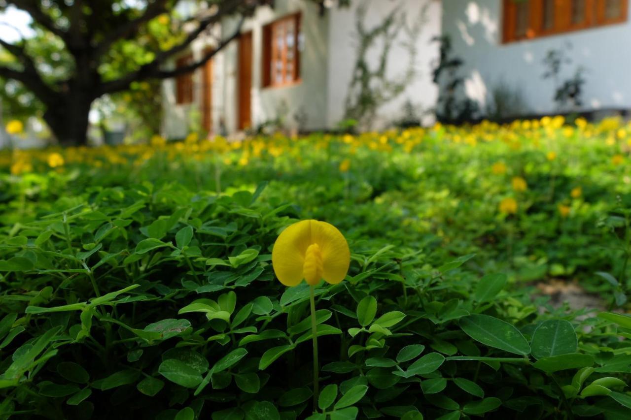 Dao Hoa Vang Villa Cam Ranh Eksteriør bilde