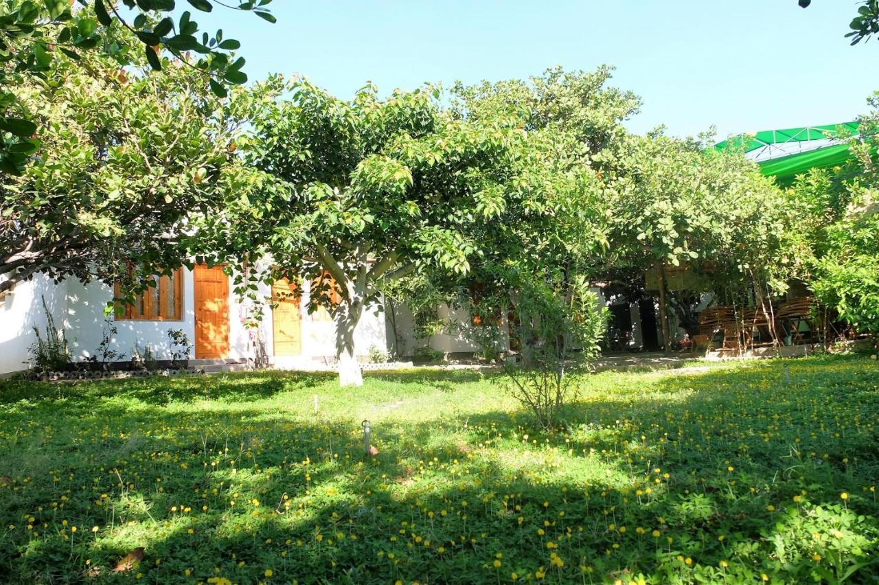 Dao Hoa Vang Villa Cam Ranh Eksteriør bilde